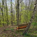 Tini Sauna Basen Goscino
