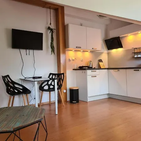 Tini Sauna Basen Homestay
