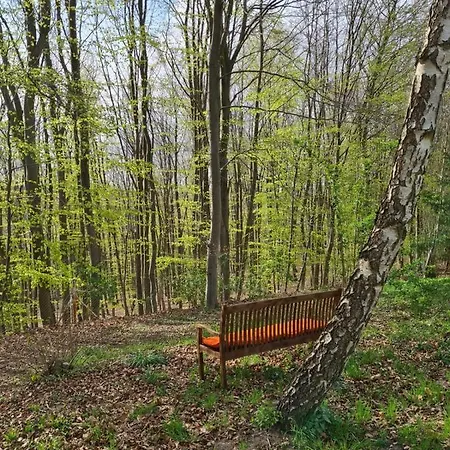 Tini Sauna Basen Gościno