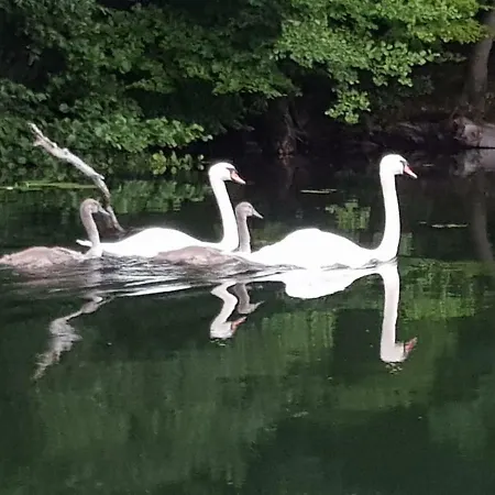 Habitación en casa particular Tini Sauna Basen