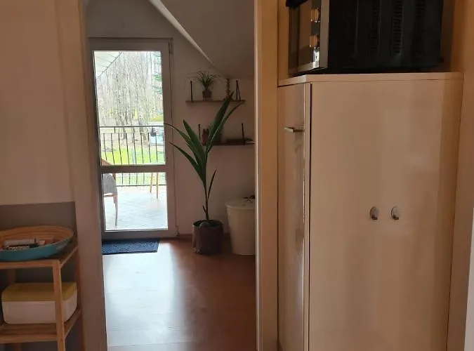 Tini Sauna Basen Gościno