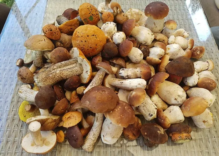 Privatunterkunft Tini Sauna Basen *