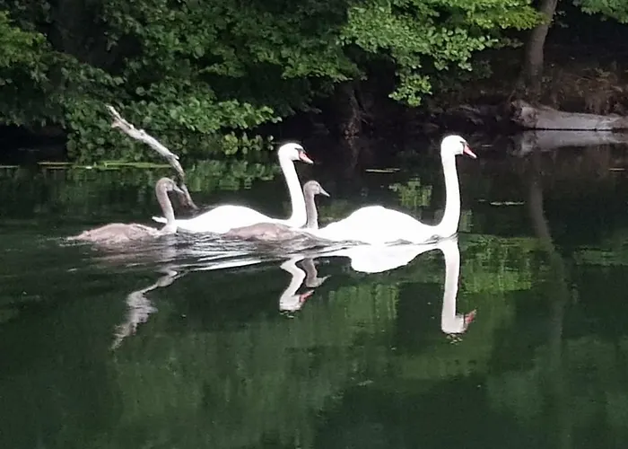 Privatunterkunft Tini Sauna Basen